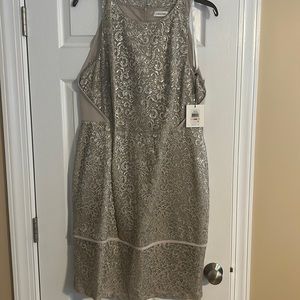 Lace Calvin Klein Dress